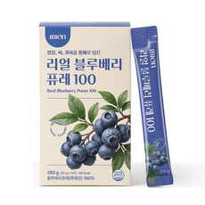 이비온 리얼 블루베리 퓨레 100 미국산 14포, 280g, 1개