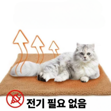 [분리세탁] 전기없는 애완동물용 겨울 보온매트, 베이지