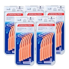 덴탈프로 치간칫솔 L자형 10P 사이즈3(S), 1mm, 10개입, 5개