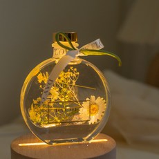 DAY OFF 浮游花乾燥花永生花小夜燈禮盒，聖誕節交換禮物，玻璃罩繡球玫瑰花裝飾，拍照道具, 璀璨白金,希臘無花果