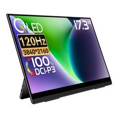 EHOMEWEI 이홈웨이 R시리즈 16 17.3 18인치 OLED QLED IPS 4K 2.5K 휴대용 모니터 DCI-P3 120Hz 265Hz 게이밍 맥북 듀얼모니터, RQG-173PU, 43.94cm