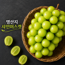 명산지 고당도 샤인머스켓 씨없는포도, 1개, 2kg (5-6수)