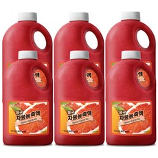 흥국 자몽농축액 1.5L 1박스 6개