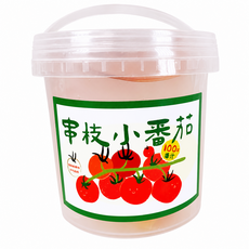 인스타 토마토 해물파전 슬라임 500g 점토 액체괴물 촉감놀이, 1개, 투명색 1개, 투명색