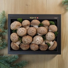 [버섯여왕] 선택2. 송화고버섯 고급 선물세트 [산지직송/프리미엄] 무농약/GAP인증, 1세트
