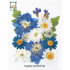 압화 컬러가든 꽃모음 압화공예 액자 레진공예, 제비꽃블루14