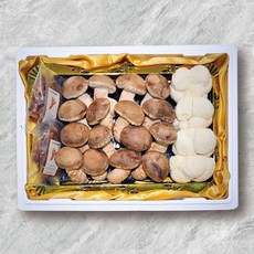 송화고 프리미엄VVIP 선물세트 녹각영지 노루궁뎅이 버섯꽃피다농원 의성 국내산 송이향, 송화고 VVIP 혼합형 선물세트, 1세트