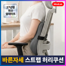 마인드랩 바른자세 사무실 등받이 허리쿠션, 그레이