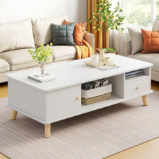북유럽 거실 테이블 수납형 소파 테이블 CT-0500, 화이트