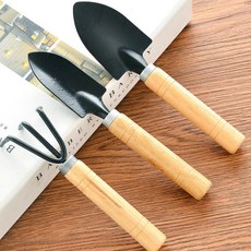 벽지 개업·축하화분 다육식물 대형화분, 열개