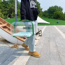 투명 고양이 펫캐리어 이동장 휴대용 반려동물 가방 케이지, 레이크 그린 싱글 상층 매트