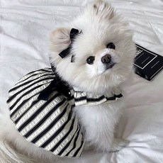 강아지 블랙 스트라이프 리본 드레스 애견옷, 1