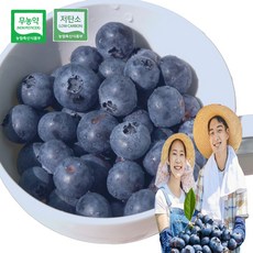 농장따옴 친환경 국산 무농약 생블루베리 블루베리 생과, 100g(상사이즈), 1개