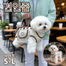 반려견 소형견 고양이용 휴대용 크로스백 핸드백 숄더백 반려동물 외출용 백팩, Brown