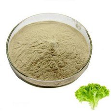 상추추출분말 100g 샘플, 본상품, 1개