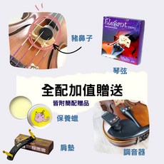 愛樂芬音樂 Elegant EV-HPU 電小提琴，紫色, 簡配