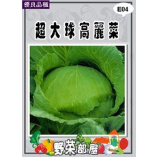 野菜部屋 E04 日本超大球高麗菜種子 0.35公克 (約80粒), 1包