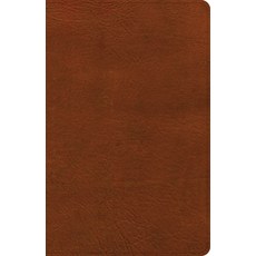 (영문도서) NASB Large Print Personal Size Reference Bible Burnt Sienna Leathertouch Imitation Leather, Holman Bibles, English, 9781087756271