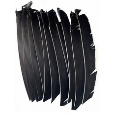 18-25CM 양궁 Fletching 화살 깃털 여러 가지 빛깔의 전체 길이 컷 없음 진짜 칠면조 DIY 샤프트 50 개, 08 black, 1개