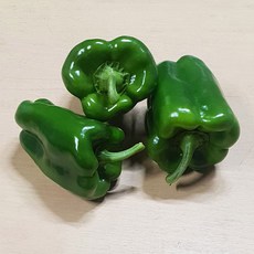 국내산 청피망, 1박스, 특 1kg