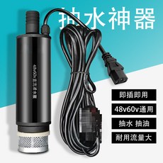 直流抽水泵 12V/24V/48V/60V 農用船用電動抽水機電瓶車抽水器, 1個, 24v金泵電瓶夾款【兩塊電瓶用】-單