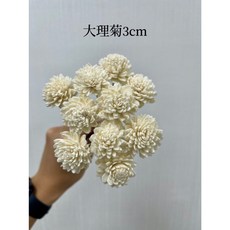 “Be a florist 花藝夢” 高品質索拉 大理菊索拉3、 4、6公分 擴香花 乾燥花 永生花 不凋花, 淺粉,3公分