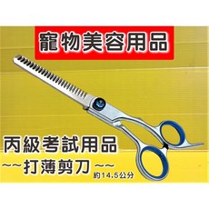 四寶的店 寵物美容剪刀 打薄剪刀 基礎 學習 修毛 剪刀 犬 貓 狗 毛小孩 理髮 小修剪 寵物美容考試用品 源杏, 1個, 寵物美容  打薄剪刀