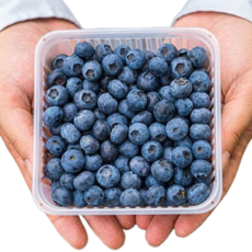 국산 냉동블루베리 특대 대 중 1kg 500g 냉동, 1박스, 1kg(대 16~18mm)