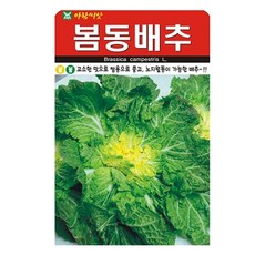 아람종묘 봄동배추 씨앗 5000p, 5개