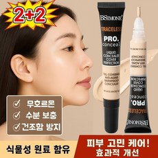 [한국 인기] 초강력 지속 파운데이션 올인원 스 리뉴얼 크림 소프트글로우컨실러 /항산화 효과/수분감 잠금/항산화, (2+2자루) [04#*2+06#*2]