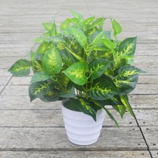 인조식물 조화화분 인테리어 소형 나무화분 실내장식 플랜테리어 거실식물 넝쿨식물 인조조경 가짜식물, 1개, 상록수 화분 두 개