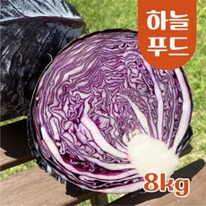 (8kg/Box) 수입 적채 적양배추 식자재 빨간양배추[원산지:중국], 적양배추 8kg, 1개