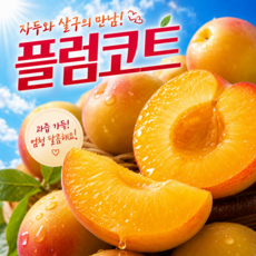 [당일수확50박스] 자두살구의만남 17brix 산지직송 플럼코트, 1박스, 500g (크기랜덤)