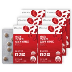 헤모퀸 프리미엄 철분제 비타민C 식물성 비헴철 여성 철분 임산부 영양제 미니 초소형 정제, 18g, 6박스