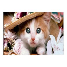 귀여운 고양이 마우스패드 동물 디자인 미끄럼방지, 1개, 猫４
