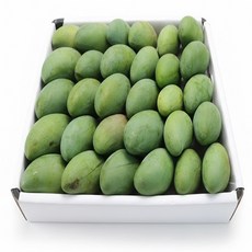 Thomy 베트남 베이비 그린망고 800g 1.2~1.3kg 1.5kg 2.5kg 5kg (Xoai hat lep), 1개, 베이비 1.2~1.3KG(3~4EA)