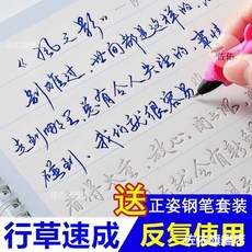 臺灣出貨 【15天練好字】成人行草書凹槽字帖手寫連筆字體硬筆書法臨摹速成, 行楷【人生格言】,送6支筆芯1個握筆器1個筆桿