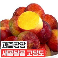 푸드지 산지직송 아삭 새콤달콤 천도복숭아, 1개, 1kg