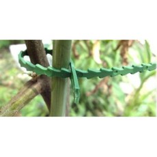 大力專業五金 園藝用束帶 植物固定帶 多尺寸 (13cm/17cm/23cm) 20入, 1個, (17cm) 20入