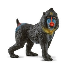 슐라이히_ 개코원숭이