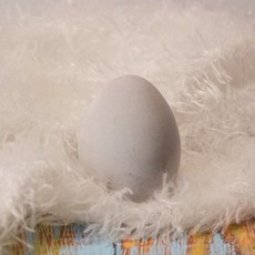 除臭蛋 冰箱除味蛋 珪藻土除異味 吸水防潮乾燥蛋, 1個, 珪藻土除臭蛋 灰色(買五贈一)