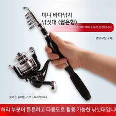 미니 낚싯대 세트 초단축 바다낚시 강낚시 장거리 캐스팅 얼음낚시 장비, 블랙 1.1m 단일대