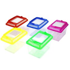 곤충채집통kor8+9lRS