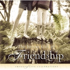 [ 1144364 ] 우정의 기쁨 선물: 인생 축하의 이미지들 [양장본]