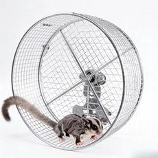 무소음 회전 휠 밀폐형 베어링 걸이형 햄스터 다람쥐 고슴도치 앵무새용, 1개, 1. 20cm Dia x 10cm