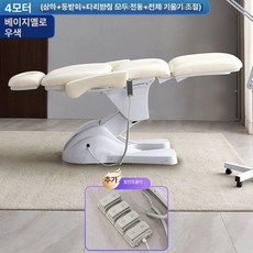 전동 미용베드 마사지 침대 온열 자동 리프팅 미용실 전용 팔걸이 미용베드, 1대4 D