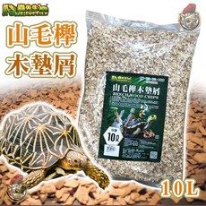 爬蟲先生 山毛櫸木墊屑 10L 爬蟲類小動物墊料 (木屑/樹皮屑/陸龜墊材/兔子墊材/老鼠墊材/爬蟲墊材/鸚鵡墊料), 1個, 爬蟲先生 山毛櫸木墊屑,【分裝-490g】