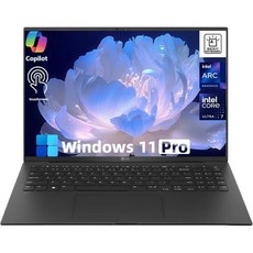 LG 그램 17인치 터치스크린(2560 x 1600) 코파일럿+ PC 노트북 인텔 코어 울트라 7 258V 윈도우 11 프로 32GB RAM 1TB SSD 블랙, 17” Touch Screen I Intel Ultra