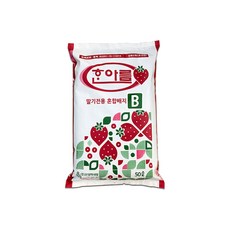 바우팜앤가든 한아름 딸기상토 B형 혼합배지 50L 딸기전용 화분 분갈이 흙 텃밭 배양토 피트모스 펄라이트 코코피트, 1개