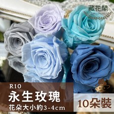 藏花閣 CAN LONGER R10 永生玫瑰 3-4cm A級不凋花 10朵裝 87深奶茶色, 87深奶茶, 87深奶茶